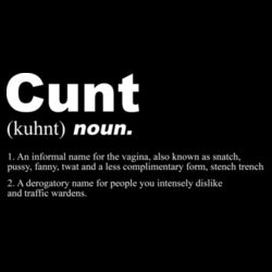 Cunt Noun - GD72 Softstyle® Ladies' T-Shirt Design