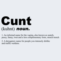 Cunt Noun - GD72 Softstyle® Ladies' T-Shirt Design