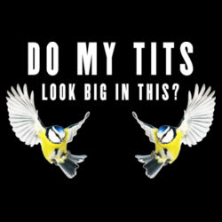 Tits - GD72 Softstyle® Ladies' T-Shirt Design