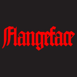 Flangeface - B640 Snapback Trucker Design